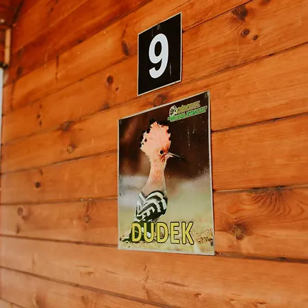 Wioska Rybacka Wilga